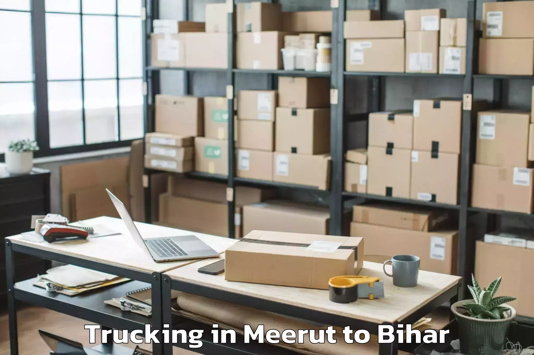 Book Meerut to Begusarai Trucking Online